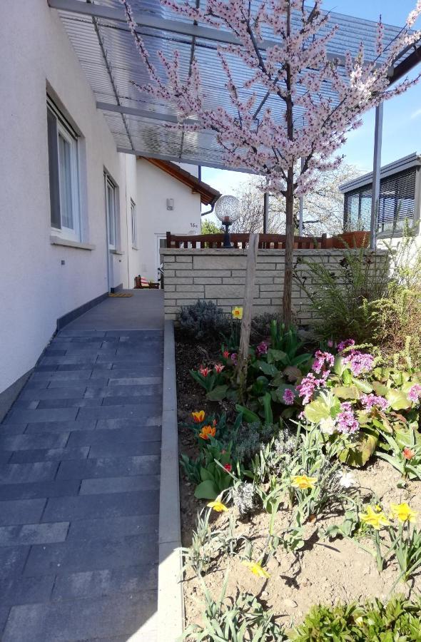 Ferienhaus Rauwolf Mit 2 Ferienwohnungen Roschbach Extérieur photo