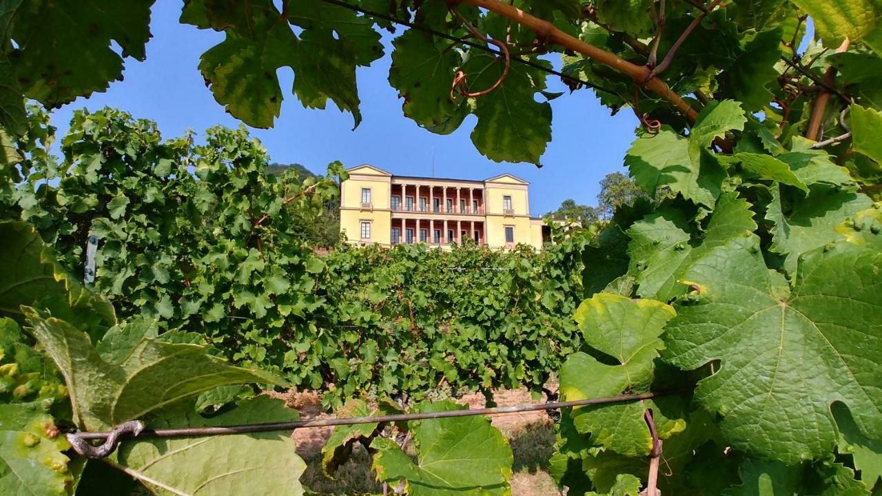 Ferienhaus Rauwolf Mit 2 Ferienwohnungen Roschbach Extérieur photo